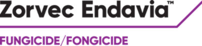 Zorvec Endavia®