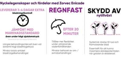 Zorvec Enicade  illustratör