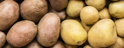 Mas info del lanzamiento