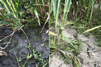 according-list-desktop-335x223