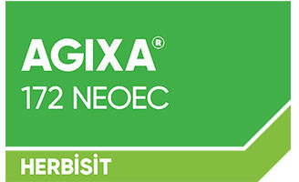 Agixa