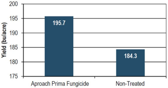 Average yield of corn treated with Aproach Prima fungicide at the VT-R1 corn growth stage and non-treated corn.