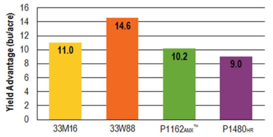 average_yld_response