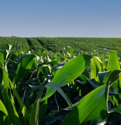 banner imagen folleto 572 x 590 col