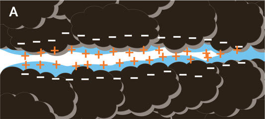 Cation exchange sites influence locations of cations and anions in the soil water phase. When soils are relatively dry, cations associate very closely with net negative charges of colloidal surfaces.