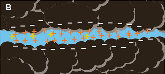 As soil moisture content increases, some cations (represented by yellow +) tend to diffuse into the water until a new equilibrium is established.