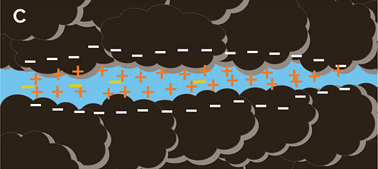 Anions (represented by yellow -) are repelled by the net negative charge of colloidal surfaces but are attracted to the positive charges of cations next to colloidal surfaces.