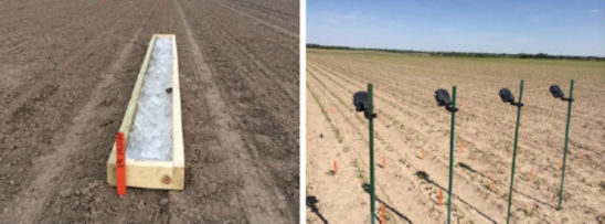 Photos: Forms for holding ice over the row (left). Time-lapse camera used to monitor corn emergence (right).