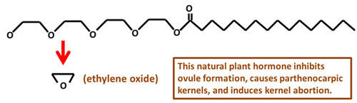 Ethylene oxide is one of the breakdown products of nonionic surfactant in plants.