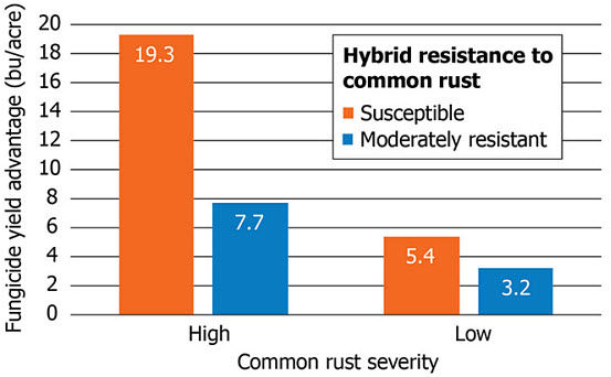 Chart showing average fungicide yield response of hybrids with low resistance and moderate resistance to common rust in Pioneer research trials in 2009.