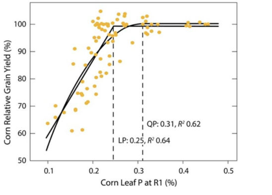 Relationship between yield response and P in corn leaves at the R1 stage.