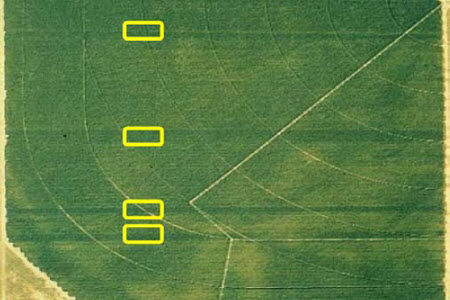 Aerial photograph of reference strips.