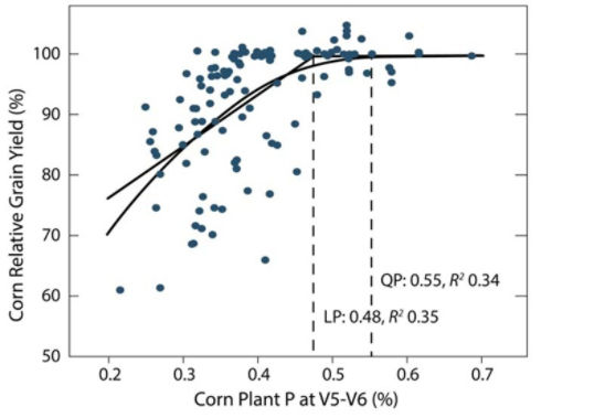 Relationship between yield response and P in corn plants at the V5-V6 stage.