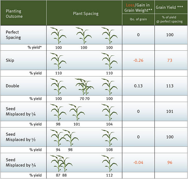 Corn grain yields resulting from various planting outcomes.