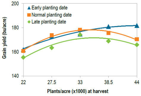 Corn grain yield in 2014 and 2015 at Crookston, MN as affected by planting date and plant population.