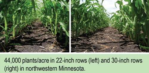Location of row spacing by plant population by hybrid trials.