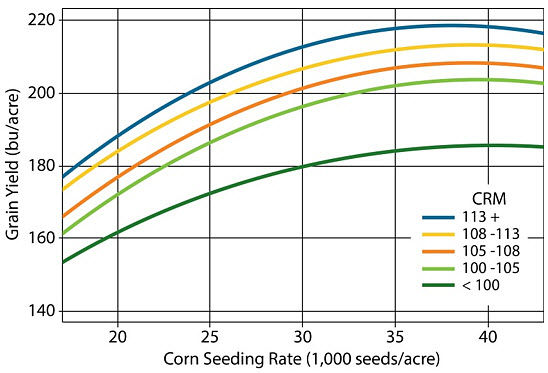 Chart showing yield response to plant population for corn hybrids from five maturity ranges.