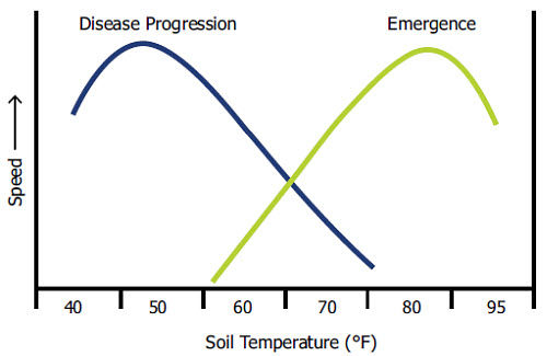 Theoretical responses of disease progression and corn seedling emergence to soil temperature.