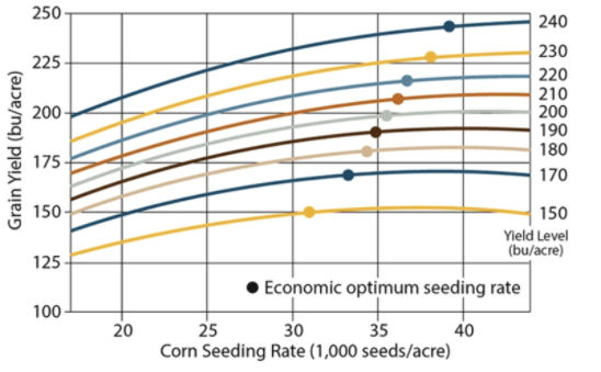 Corn yield response to population and optimum economic