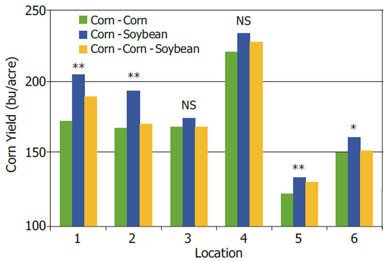 Yields obtained at 6 Illinois locations over a 2-year period using 3 corn and soybean rotations.
