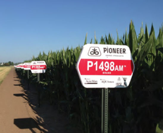 DuPont Pioneer corn research trials.