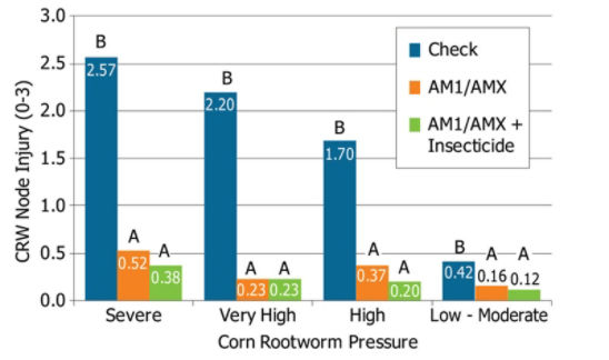 Corn rootworm injury (NIS scores) observed with AM1/AMX products, AM1/AMX products + soil-applied insecticide and no CRW protection (check) in 2013 on-farm trials.
