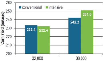 Chart: Management system effect on corn yield at 32,000 and 38,000 plants/acre in 2014