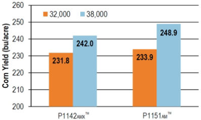 Chart: Yield of P1142AMX™ and P1151AM™