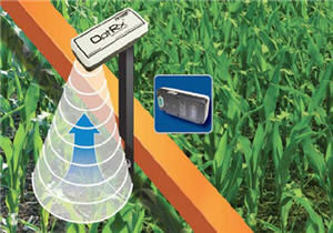 OptRx sensor system.