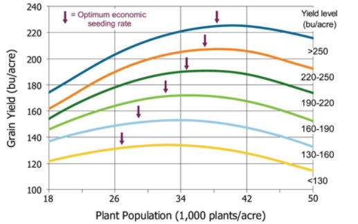 Corn yield response to population and optimum economic seeding rate by location yield level, 2006-2012.