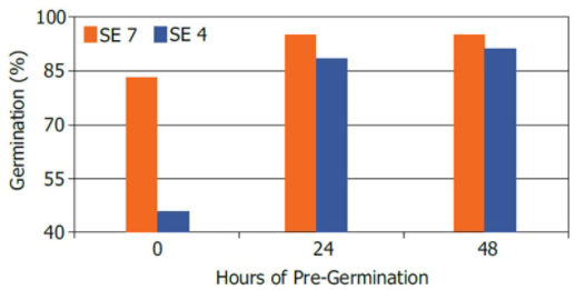Germination of 2 hybrids with stress emergence scores of 4 (below average) and 7 (above average) following imbibitional chilling induced by melting ice.