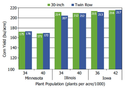 Corn yield in 30-inch rows and twin rows by plant populations included in Pioneer studies conducted in Minnesota, Illinois and Iowa.