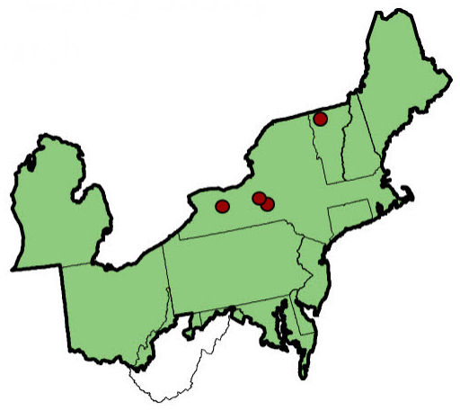 corn_silage_row_width