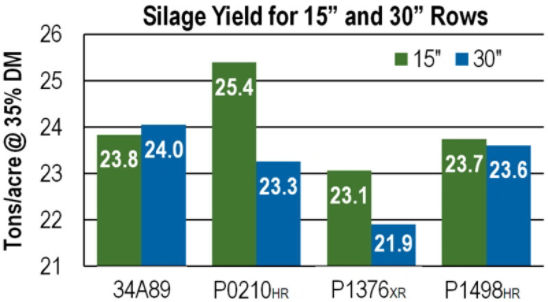corn_silage_row_width_yield