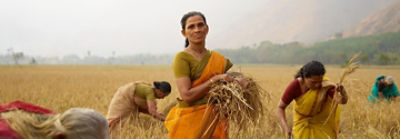 women farmers working in field