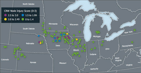 Corn rootworm insect pressure at on-farm strip trial locations in 2013 and 2014.