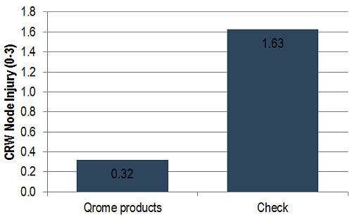 Average CRW node injury for Qrome products and the non-protected check at moderate and high CRW pressure locations.
