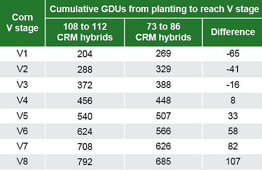 Chart showing the relationship between corn vegetative (V) stage and cumulative GDUs from planting for 73- to 87-CRM hybrids.