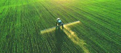 Désherbage céréale