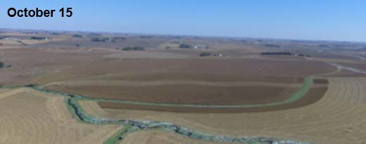 Photo - improved corn plant health in the treated strip is still visible in a drone image taken in mid-October.