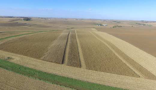 Drone image of field showing corn fungicide treatment vs. non-treated area at harvest timing.