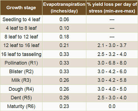 Estimated corn evapotranspiration and yield loss per stress day during various stages of growth