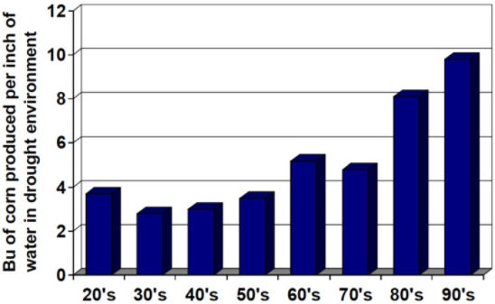 Chart: Hybrids from eight decades (1920s to 1990s) grown under drought demonstrate significant improvement for drought tolerance.