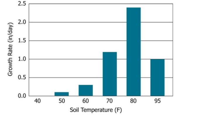Prolonged exposure to soil temperatures below 50º F promotes seed deterioration and seedling disease.