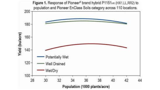 Chart: Response of Pioneer® brand hybrid P115HR (RX1,LL,RR2)
