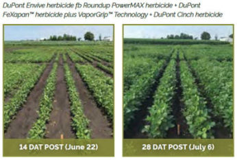 Soybean field treasted with DuPont Envive herbicide fb Roundup PowerMAX herbicide + DuPont FeXapan� herbicide plus VaporGrip� Technology + DuPont Cinch herbicide