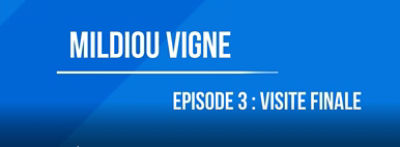 Zorvec Maguelone episode 3