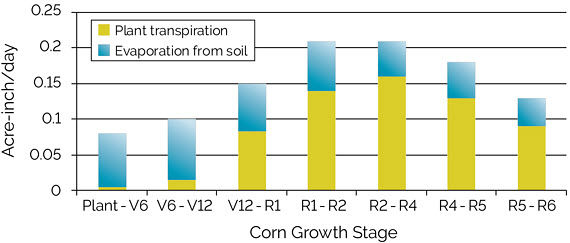 Chart showing evapotranspiration of water (acre-inch basis) to support corn growth in Iowa during different growth stages.