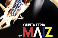5ta. Feria del Maíz