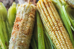 Edición 12 de la Feria del Elote en CDMX